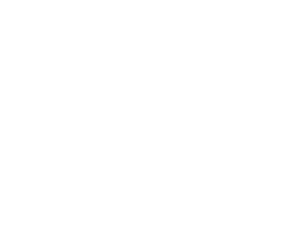 Adept